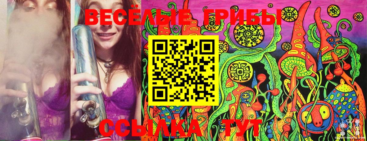 Псилоцибиновые грибы Cubensis  Вход с VPN  Галлюциногенные грибы мухоморы  Назарово 