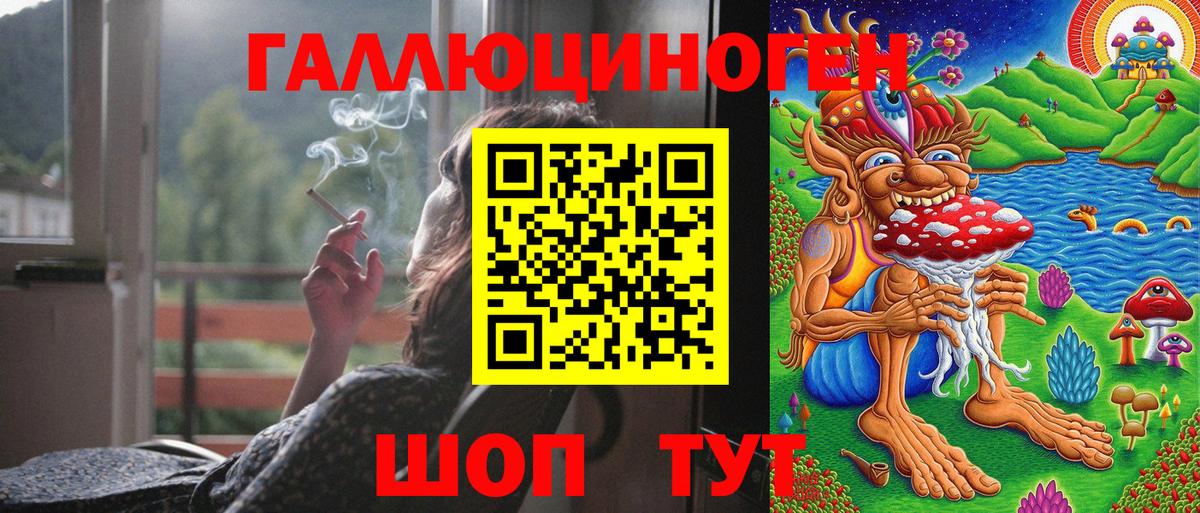 Галлюциногенные грибы Psilocybine cubensis Назарово